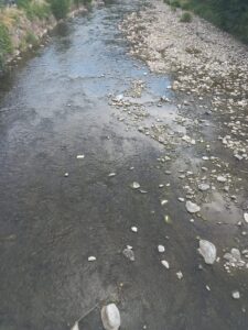 El riu Segre al seu pas per Martinet (Cerdanya)