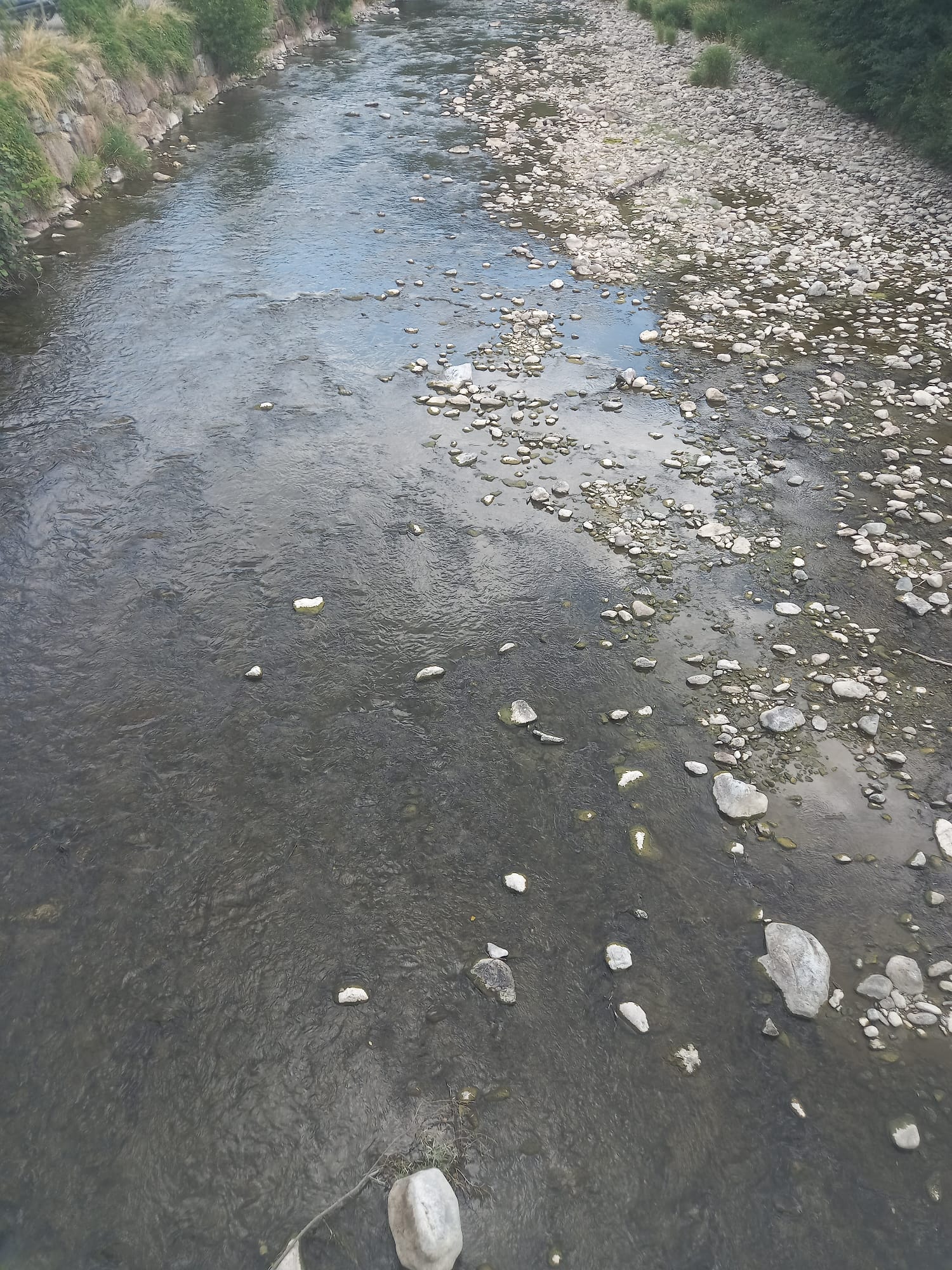 El riu Segre al seu pas per Martinet (Cerdanya)