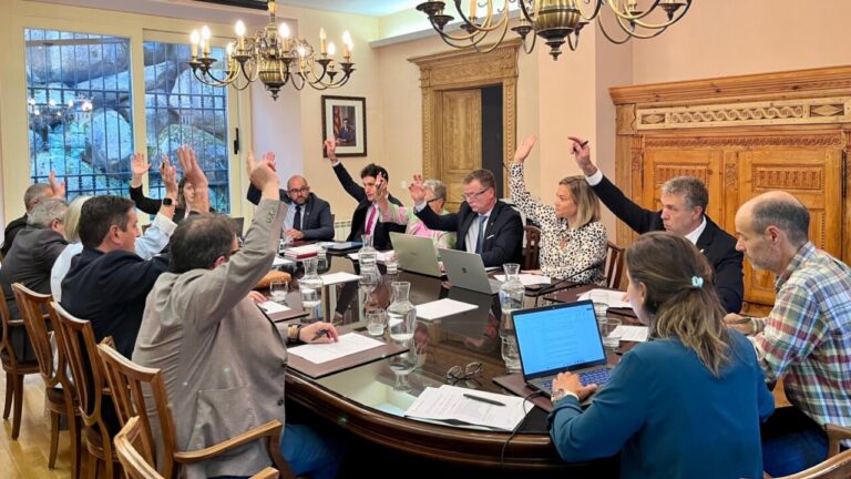 Aprovació d'una declaració de suport al poble de Gaza