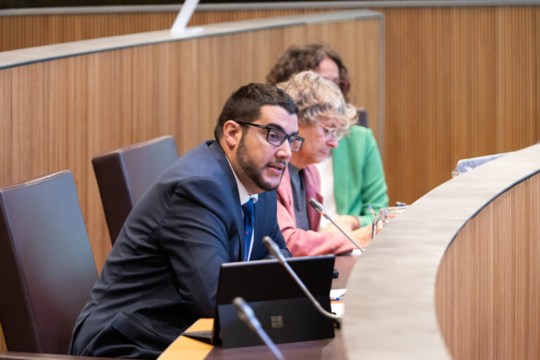 Reunió del grup socialdemòcrata sobre digitalització a Andorra.