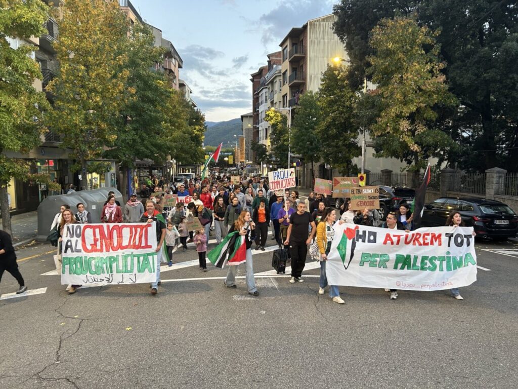 Marxa de la manifestació en suport de Palestina pels carrers de la Seu.