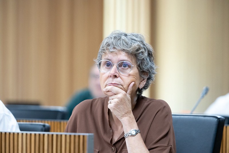 Susanna Vela recimina al govern la seva manca de voluntat de consens.