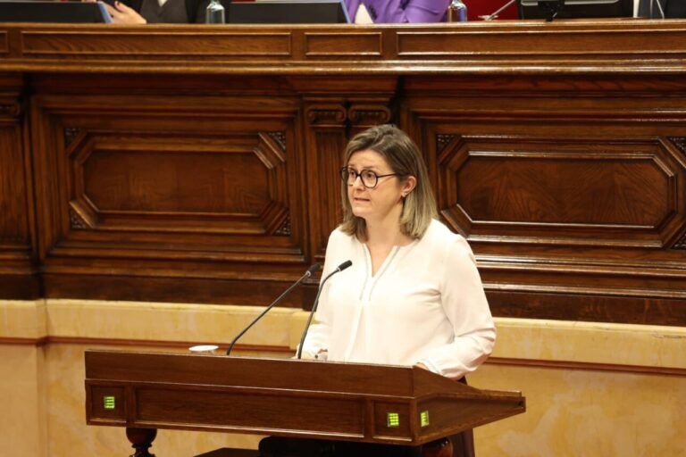 La Síndica Maria Vergés parlant al Parlament durant la seva intervenció anual.