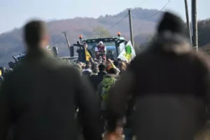 Barricada de ramaders per impedir el sacrifici total de les vaques d’una granja de Bords-sur-Arize