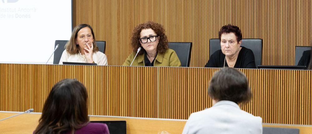 Judith Pallarés parlant durant la seva intervenció al Consell General d'Andorra.