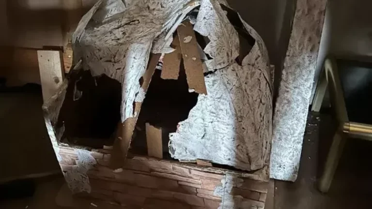 L’atrezzo que guardava Teatremp ha estat vandalitzat