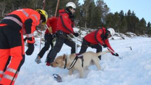 Acció dels Bombers davant una allau de neu