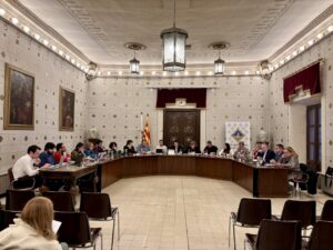 El ple de la Seu d’Urgell es declara contrari a la guerra.