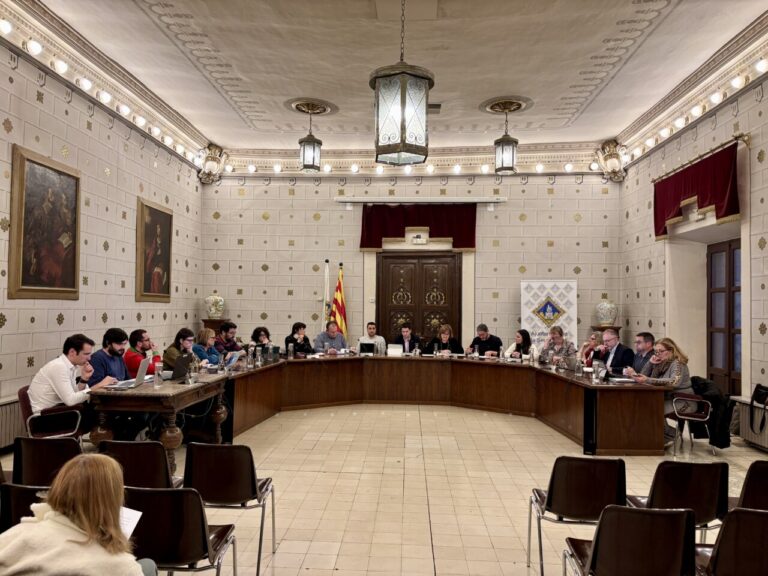 El ple de la Seu d’Urgell es declara contrari a la guerra.