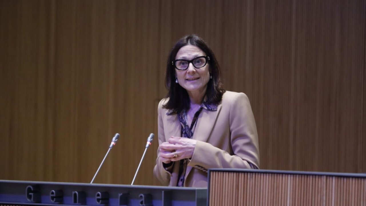 El CSJ qüestiona la reforma del Codi Penal de la ministra Ester Molné.