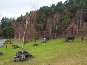Una de les zones de millora serà el berenador de la Comella.