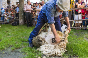 Demostració d’obtenció de llana a la Fira d’Arròs de Cardós