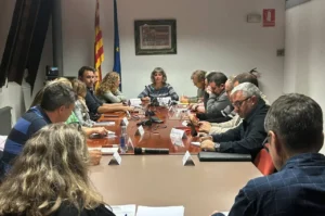 Josefina Lladós presideix el Consell Comarcal de l’Alt Urgell.