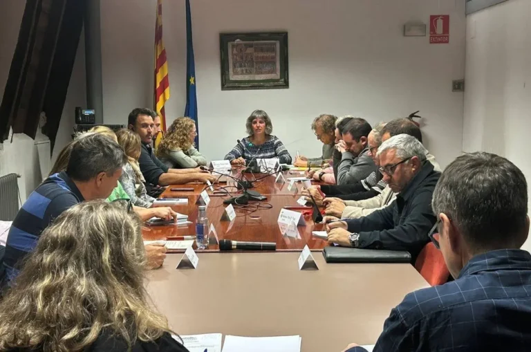 Josefina Lladós presideix el Consell Comarcal de l’Alt Urgell.