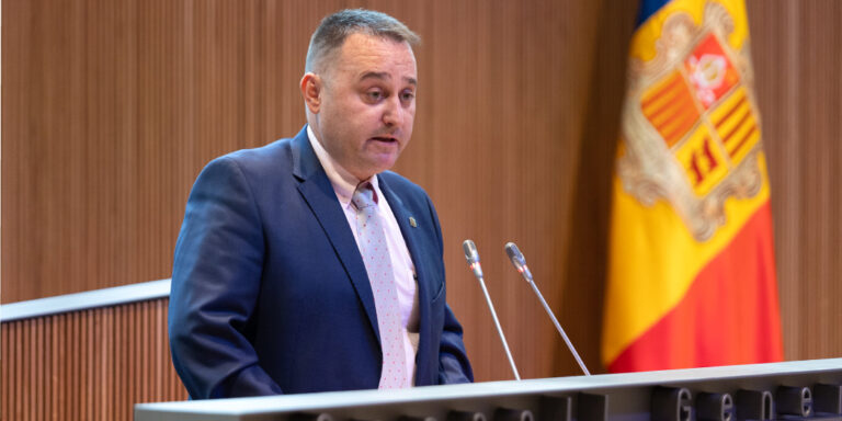 El conseller general Pere Marsenyach va ser apallissat.