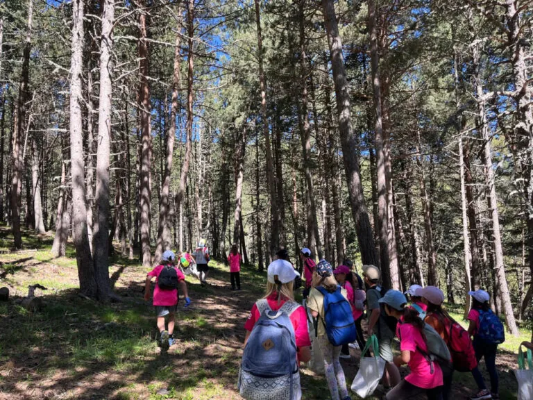 Un grup d’escolars ha participat en la neteja dels paratges de la Molina