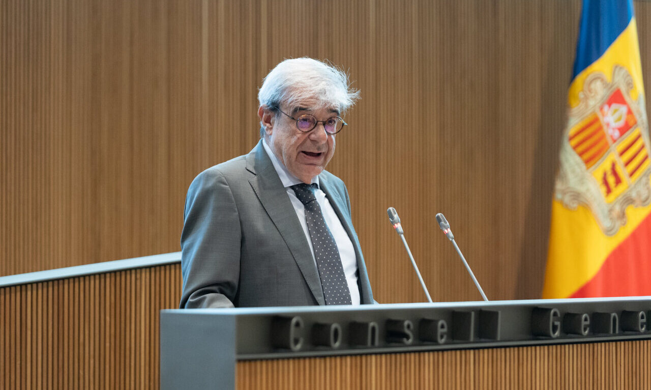Ladislau Baró al Consell General (Sergi Pérez | Consell General)