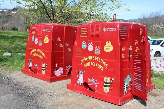 Refugis per a felins a la Seu d’Urgell