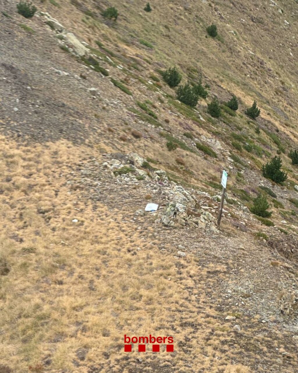 Vista de la zona de Senet accessible per a excursionistes amb vegetació