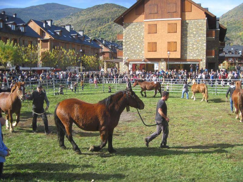 Esterri d'Àneu tornarà a reivindicar el paper de la ramaderia extensiva i de les races autòctones en l'activitat econòmica i la identitat del Pallars Sobirà. / Fires Catalanes.