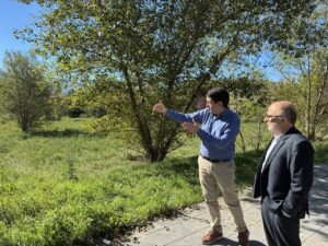 Els terrenys on està prevista la construcció del futur teatre-auditori